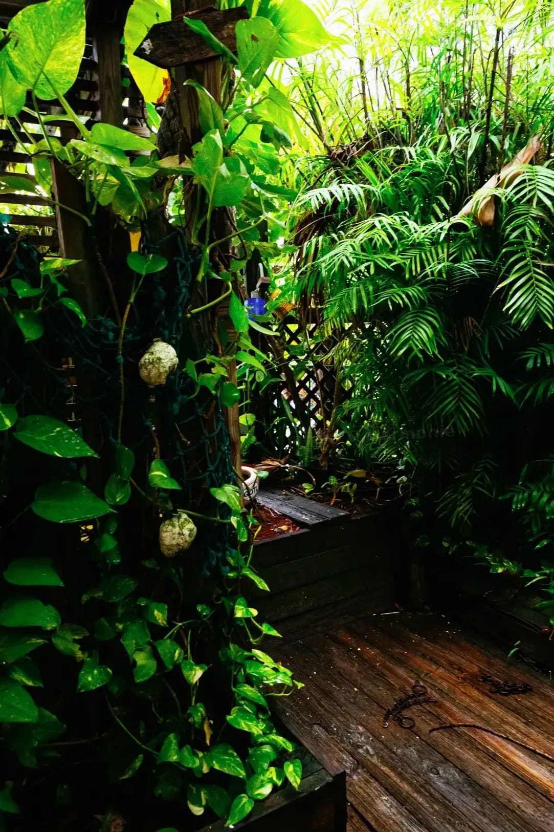 Jardin & Harmonie 15