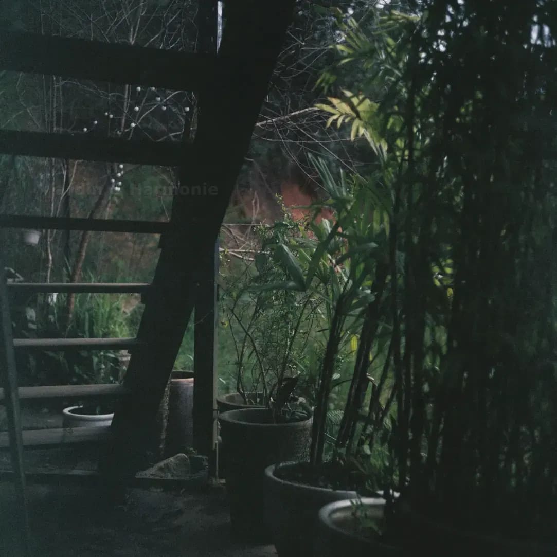 Jardin & Harmonie 4