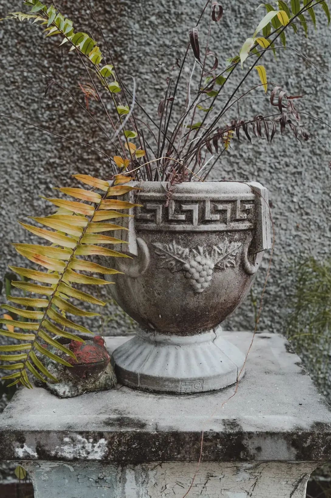 Jardin & Harmonie 6